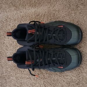 Nike Foamposite Sequoia